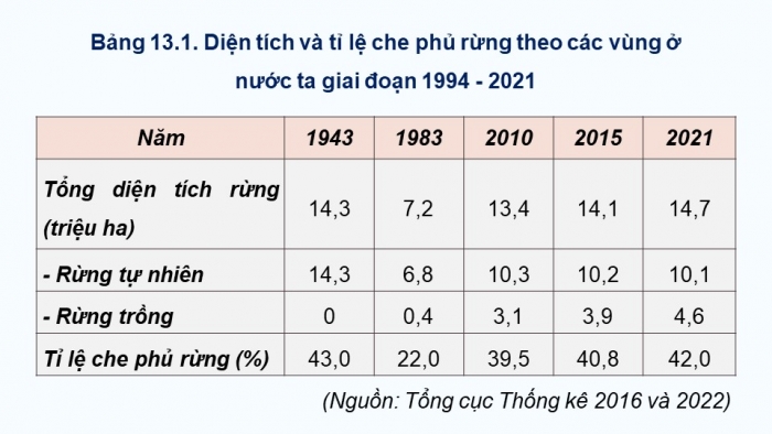 Giáo án điện tử Địa lí 12 chân trời Bài 13: Vấn đề phát triển lâm nghiệp và thuỷ sản