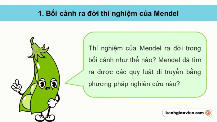 Giáo án điện tử Sinh học 12 cánh diều Bài 7: Di truyền học Mendel và mở rộng học thuyết Mendel