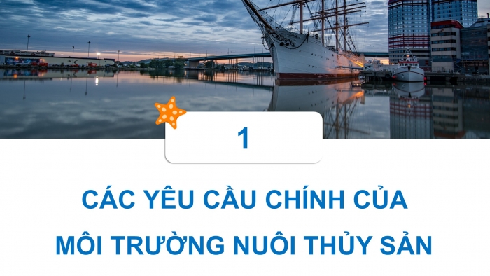 Giáo án điện tử Công nghệ 12 Lâm nghiệp Thủy sản Cánh diều Bài 11: Một số chỉ tiêu cơ bản của môi trường nuôi thuỷ sản