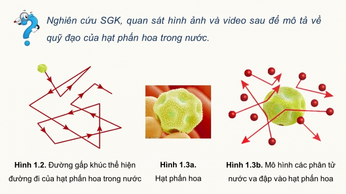 Giáo án điện tử Vật lí 12 cánh diều Bài 1: Mô hình động học phân tử chất khí