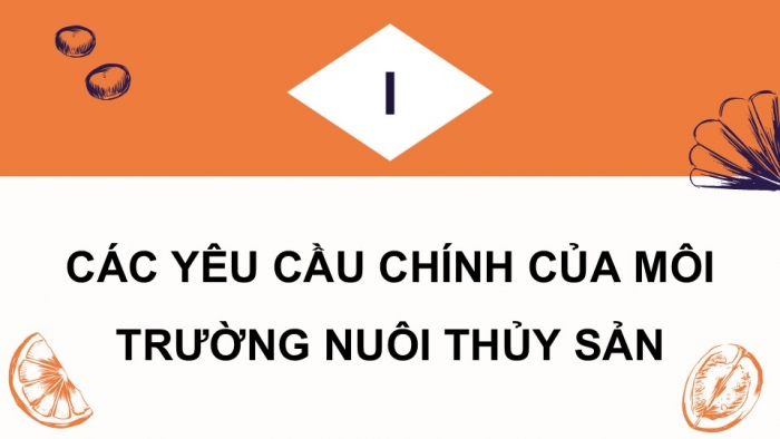 Giáo án điện tử Công nghệ 12 Lâm nghiệp - Thủy sản Kết nối Bài 10: Giới thiệu về môi trường nuôi thuỷ sản