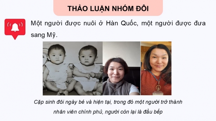 Giáo án điện tử Sinh học 12 kết nối Bài 16: Tương tác giữa kiểu gene với môi trường và thành tựu chọn giống