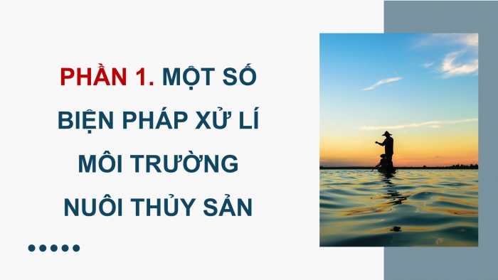 Giáo án điện tử Công nghệ 12 Lâm nghiệp - Thủy sản Kết nối Bài 12: Biện pháp xử lí môi trường nuôi thuỷ sản