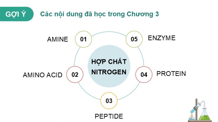 Giáo án điện tử Hoá học 12 kết nối Bài 11: Ôn tập chương 3