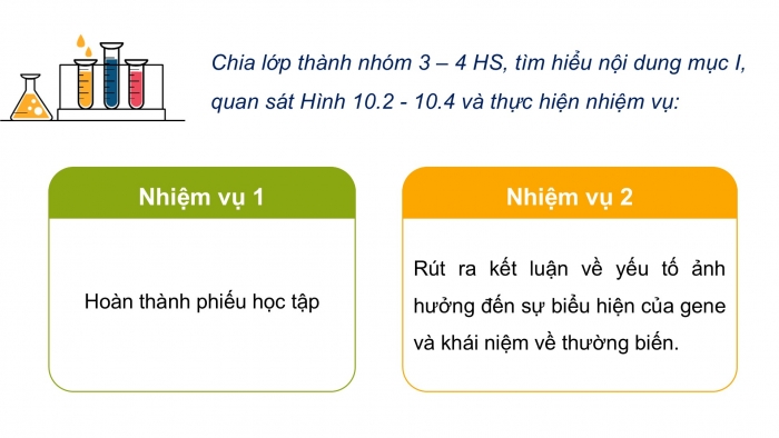 Giáo án điện tử Sinh học 12 chân trời Bài 10: Mối quan hệ giữa kiểu gene – kiểu hình – môi trường