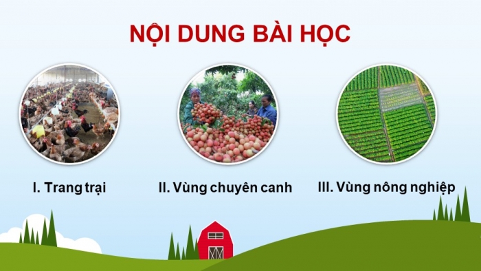 Giáo án điện tử Địa lí 12 cánh diều Bài 11: Một số hình thức tổ chức lãnh thổ nông nghiệp