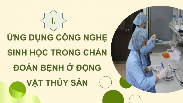 Giáo án điện tử chuyên đề Công nghệ 12 Lâm nghiệp Thuỷ sản Kết nối Bài 8: Ứng dụng công nghệ sinh học trong phòng, trị bệnh thuỷ sản