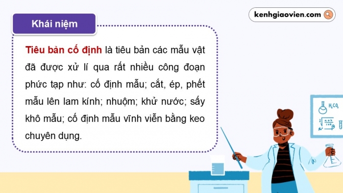 Giáo án điện tử KHTN 9 chân trời - Phân môn Sinh học Bài 42: Thực hành Quan sát tiêu bản nhiễm sắc thể