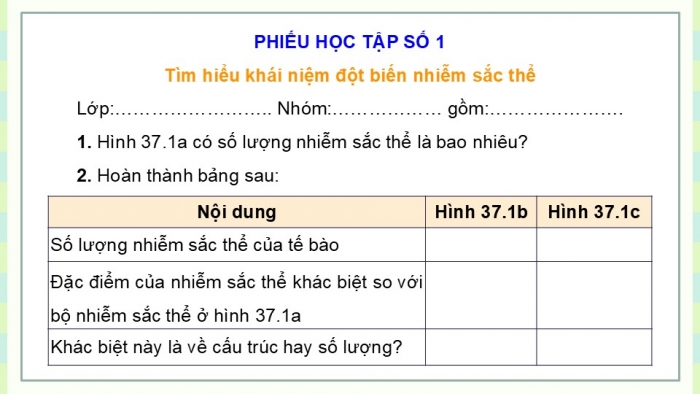 Giáo án điện tử KHTN 9 cánh diều - Phân môn Sinh học Bài 37: Đột biến nhiễm sắc thể