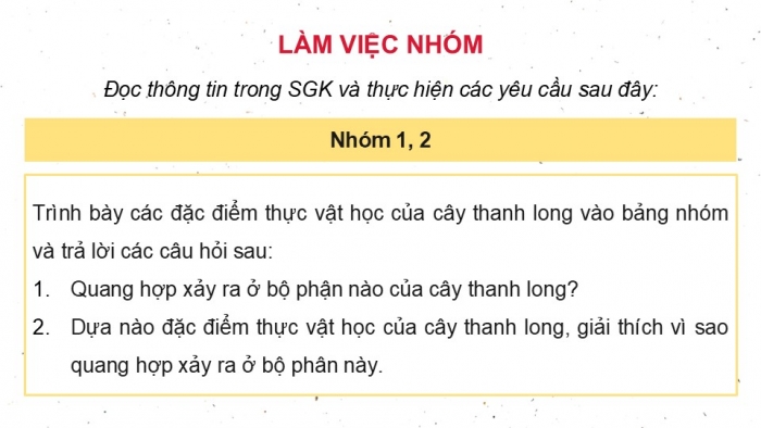 Giáo án điện tử Công nghệ 9 Trồng cây ăn quả Cánh diều Bài 6: Kĩ thuật trồng và chăm sóc cây thanh long