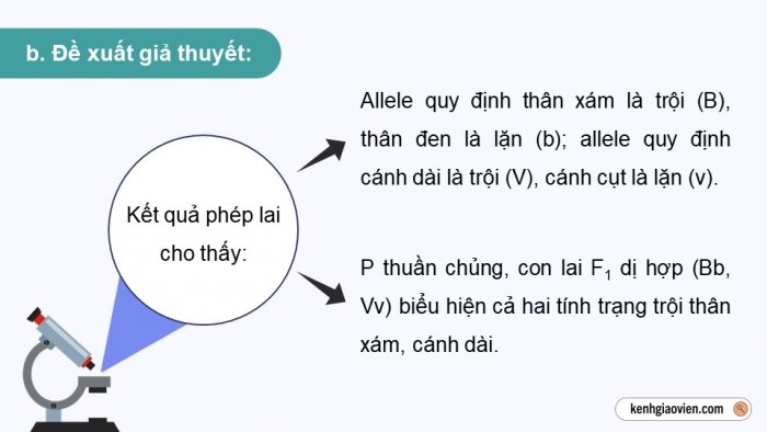 Giáo án điện tử Sinh học 12 chân trời Bài 8: Các quy luật di truyền của Morgan và di truyền giới tính (P2)