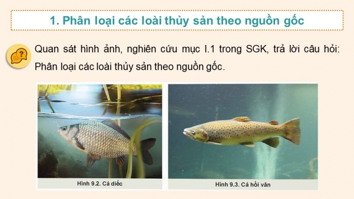 Giáo án điện tử Công nghệ 12 Lâm nghiệp - Thủy sản Kết nối Bài 9: Các nhóm thuỷ sản và một số phương thức nuôi phố biến