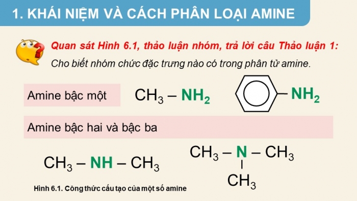 Giáo án điện tử Hoá học 12 chân trời Bài 6: Amine