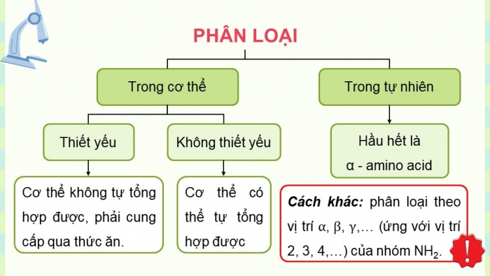 Giáo án điện tử Hoá học 12 chân trời Bài 7: Amino acid và peptide