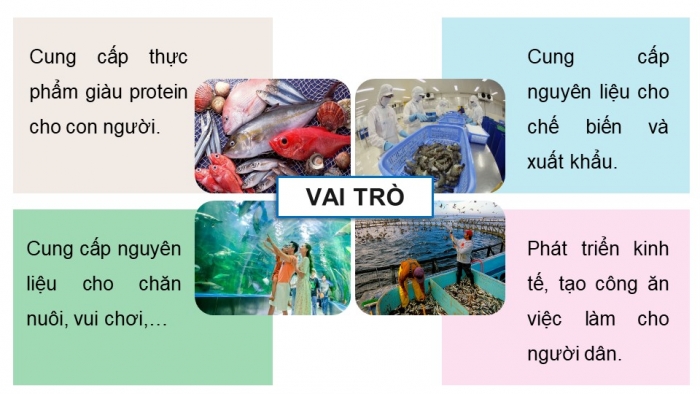 Giáo án điện tử Công nghệ 12 Lâm nghiệp Thủy sản Cánh diều Bài 9: Vai trò và triển vọng của thuỷ sản trong bối cảnh cuộc cách mạng công nghiệp 4.0