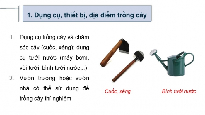 Giáo án điện tử Sinh học 12 kết nối Bài 17: Thực hành Thí nghiệm về thường biến ở cây trồng