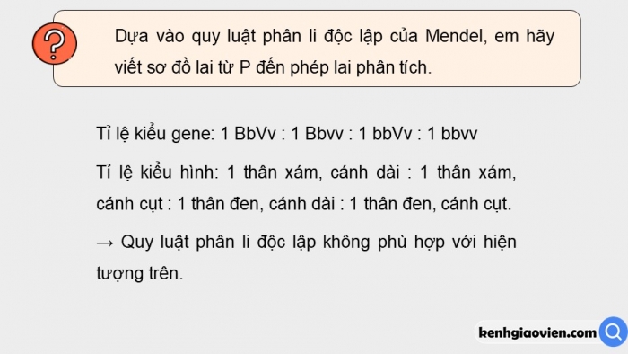 Giáo án điện tử Sinh học 12 kết nối Bài 11: Liên kết gene và hoán vị gene