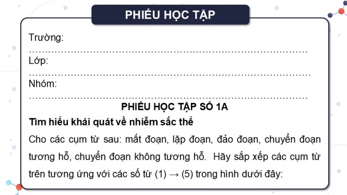 Giáo án điện tử Sinh học 12 kết nối Bài 12: Đột biến nhiễm sắc thể