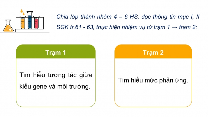 Giáo án điện tử Sinh học 12 cánh diều Bài 10: Mối quan hệ giữa kiểu gene, môi trường và kiểu hình