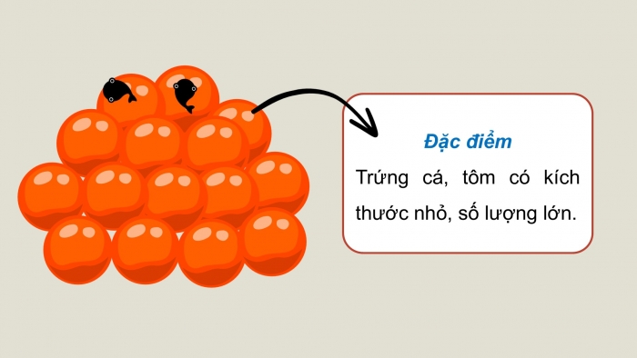 Giáo án điện tử Công nghệ 12 Lâm nghiệp - Thủy sản Kết nối Bài 14: Sinh sản của cá và tôm