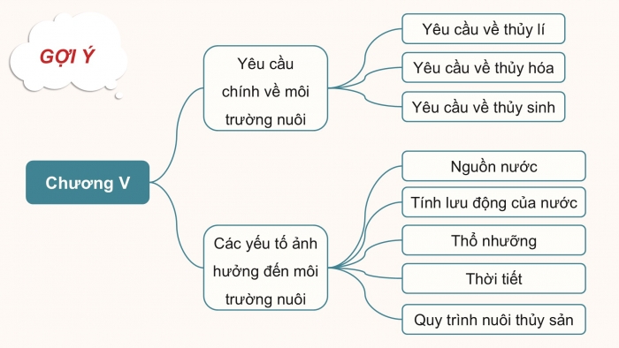 Giáo án điện tử Công nghệ 12 Lâm nghiệp - Thủy sản Kết nối Bài ôn tập chương V