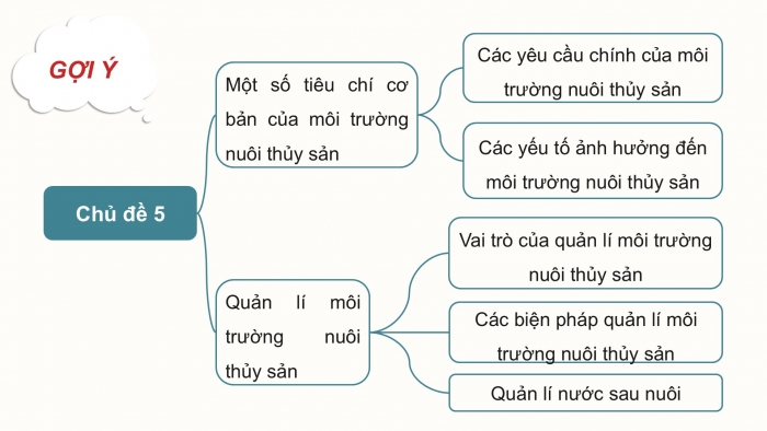 Giáo án điện tử Công nghệ 12 Lâm nghiệp Thủy sản Cánh diều Bài Ôn tập chủ đề 5