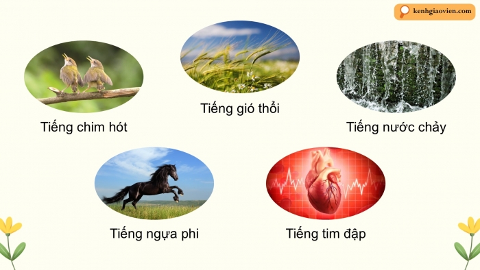 Giáo án điện tử Âm nhạc 5 chân trời Tiết 1: Khám phá. Khám phá nhịp điệu nhanh dần, chậm dần. Hát những bông hoa những bài ca