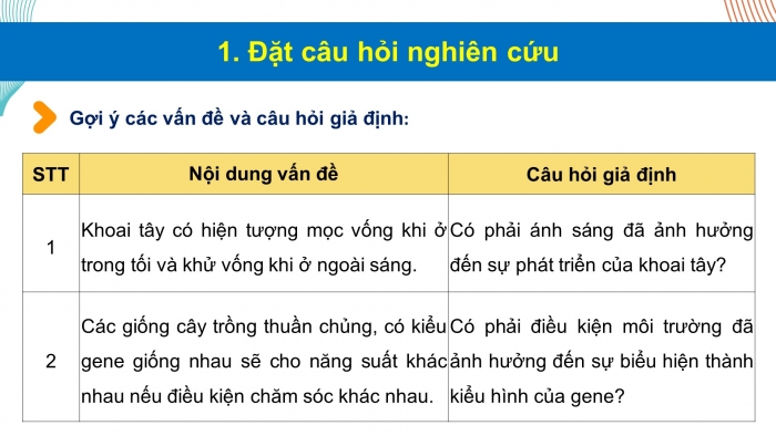 Giáo án điện tử Sinh học 12 chân trời Bài 11: Thực hành Thí nghiệm về thường biến ở cây trồng