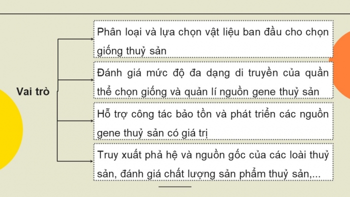 Giáo án điện tử chuyên đề Công nghệ 12 Lâm nghiệp Thuỷ sản Kết nối Bài 6: Một số ứng dụng công nghệ sinh học trong chọn, tạo giống thuỷ sản