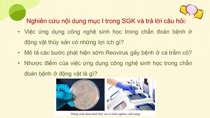 Giáo án điện tử chuyên đề Công nghệ 12 Lâm nghiệp Thuỷ sản Kết nối Bài 8: Ứng dụng công nghệ sinh học trong phòng, trị bệnh thuỷ sản