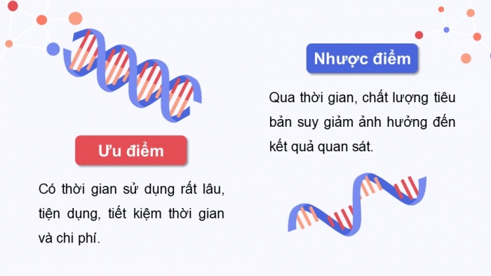 Giáo án điện tử KHTN 9 chân trời - Phân môn Sinh học Bài 42: Thực hành Quan sát tiêu bản nhiễm sắc thể