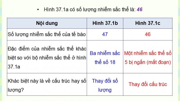 Giáo án điện tử KHTN 9 cánh diều - Phân môn Sinh học Bài 37: Đột biến nhiễm sắc thể