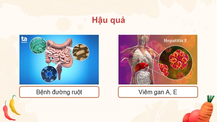 Giáo án điện tử Công nghệ 9 Chế biến thực phẩm Cánh diều Bài 6: An toàn vệ sinh thực phẩm