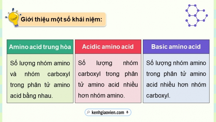 Giáo án điện tử Hoá học 12 kết nối Bài 9: Amino acid và peptide