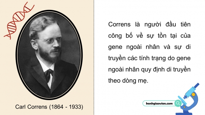 Giáo án điện tử Sinh học 12 chân trời Bài 9: Di truyền gene ngoài nhân