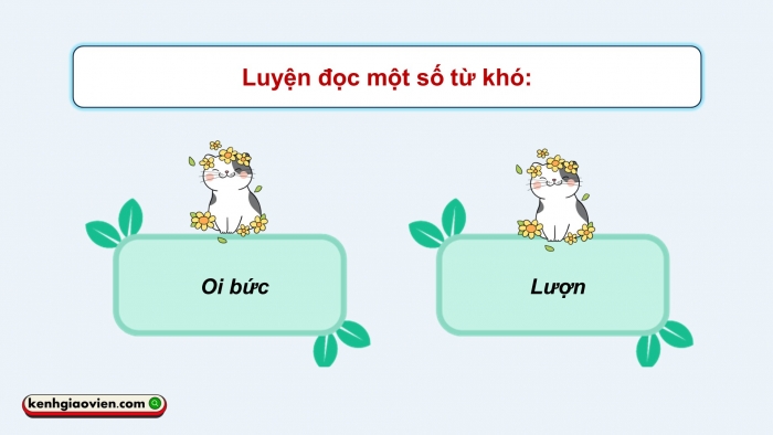 Giáo án điện tử Tiếng Việt 5 chân trời Bài 7: Dáng hình ngọn gió