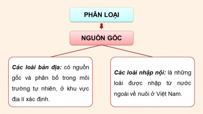 Giáo án điện tử Công nghệ 12 Lâm nghiệp - Thủy sản Kết nối Bài 9: Các nhóm thuỷ sản và một số phương thức nuôi phố biến