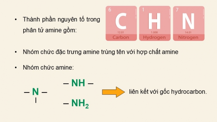 Giáo án điện tử Hoá học 12 chân trời Bài 6: Amine