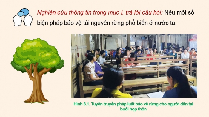 Giáo án điện tử Công nghệ 12 Lâm nghiệp Thủy sản Cánh diều Bài 8: Bảo vệ và khai thác tài nguyên rừng