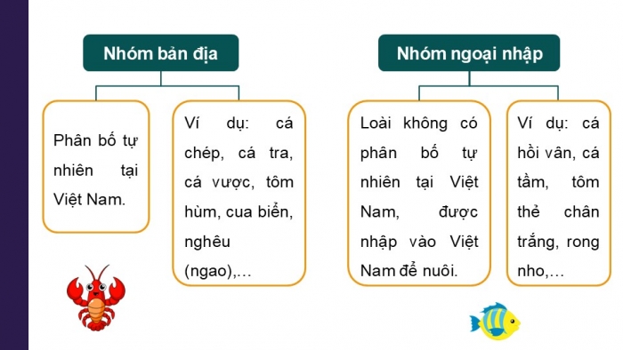 Giáo án điện tử Công nghệ 12 Lâm nghiệp Thủy sản Cánh diều Bài 10: Các nhóm thuỷ sản và phương thức nuôi phổ biến