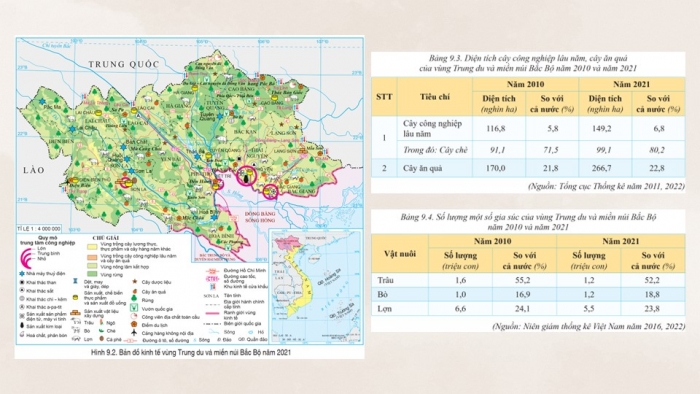 Giáo án điện tử Địa lí 9 cánh diều Bài 9: Vùng Trung du và miền núi Bắc Bộ (P2)