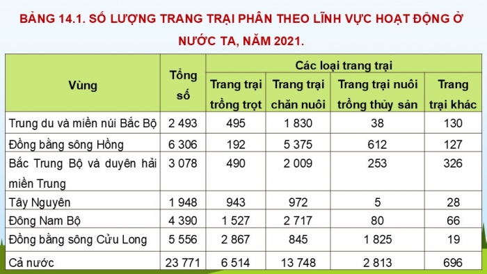 Giáo án điện tử Địa lí 12 chân trời Bài 14: Tổ chức lãnh thổ nông nghiệp