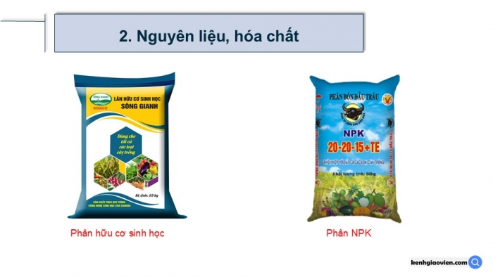 Giáo án điện tử Sinh học 12 kết nối Bài 17: Thực hành Thí nghiệm về thường biến ở cây trồng