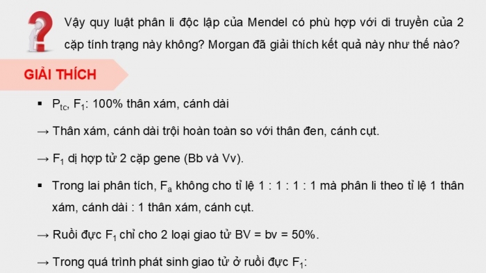 Giáo án điện tử Sinh học 12 kết nối Bài 11: Liên kết gene và hoán vị gene