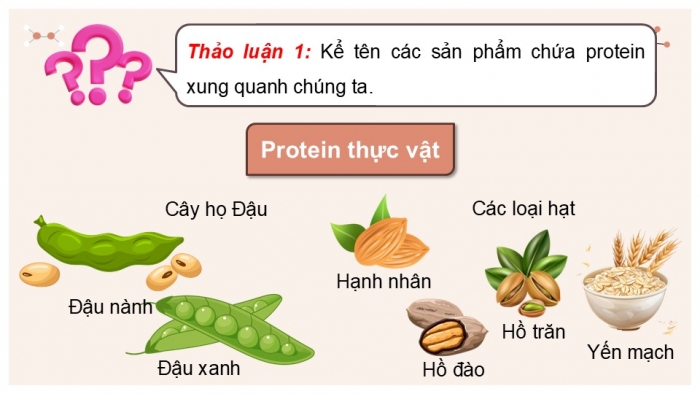 Giáo án điện tử Hoá học 12 chân trời Bài 8: Protein và enzyme