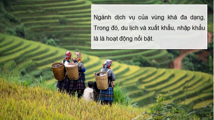 Giáo án điện tử Địa lí 9 chân trời Bài 9: Vùng Trung du và miền núi Bắc Bộ (P2)