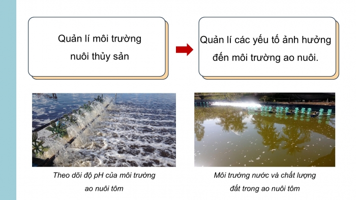 Giáo án điện tử Công nghệ 12 Lâm nghiệp - Thủy sản Kết nối Bài 11: Quản lí môi trường nuôi thuỷ sản