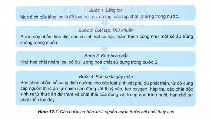 Giáo án điện tử Công nghệ 12 Lâm nghiệp - Thủy sản Kết nối Bài 12: Biện pháp xử lí môi trường nuôi thuỷ sản