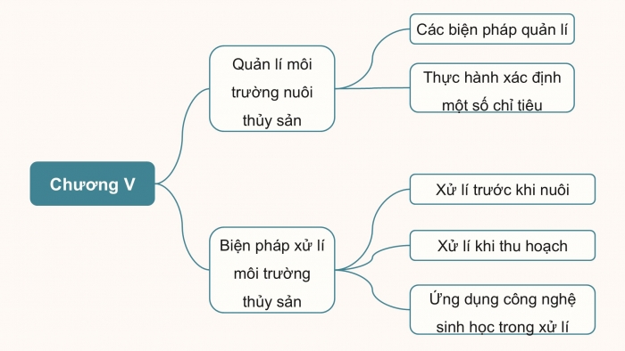 Giáo án điện tử Công nghệ 12 Lâm nghiệp - Thủy sản Kết nối Bài ôn tập chương V