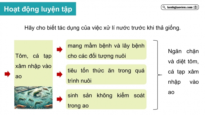 Giáo án điện tử Công nghệ 12 Lâm nghiệp Thủy sản Cánh diều Bài 13: Xử li môi trường nuôi thuỷ sản